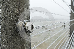 Frozen barbed wire