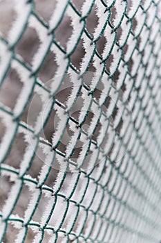 Frozen Barbed Wire On Oblique Angle