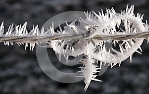 Frozen barbed wire