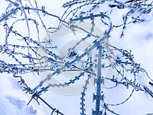 Frozen barbed wire
