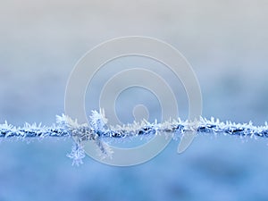Frozen barbed wire