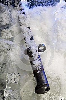 Frozen bayonet