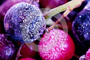 Frozen berries