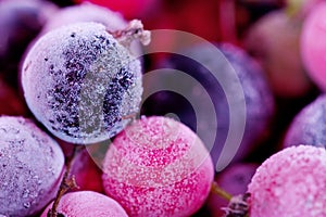 Frozen berries