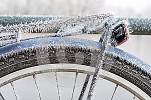 Frozen bike