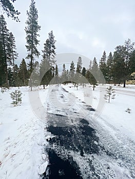 Frozen Bike and Walking Path in Oregon