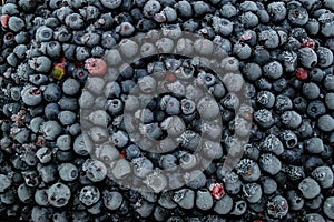 Frozen bilberries - texture