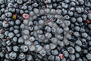 Frozen bilberries - texture