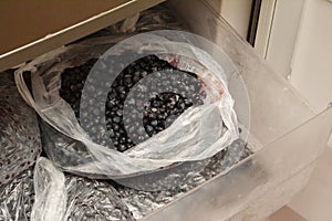 Frozen bilberries, wild blueberries in plastic bag is a source of vitamin C and P  and healthy eating in winter