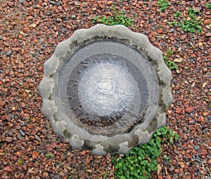 Frozen Birdbath