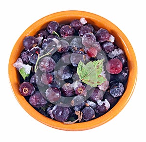 Frozen black currant in a ceramic bowl