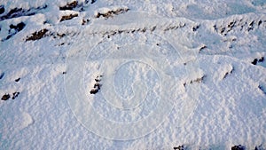 Frozen black soil protrudes from under the snow