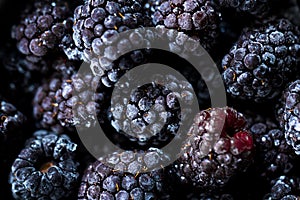 Frozen blackberries as background. Organic fruit. Close up