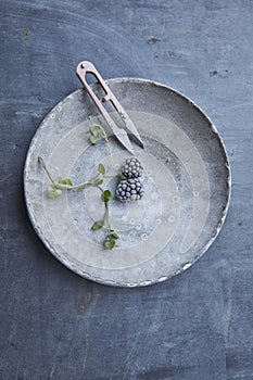 Frozen blackberries on a plate