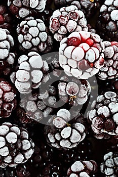 Frozen Blackberries
