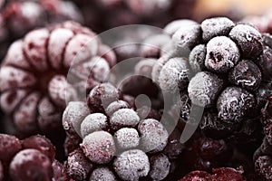 Frozen Blackberry fruits, food background