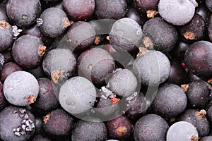 Frozen blackcurrants