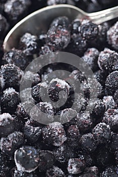 Frozen Blueberries