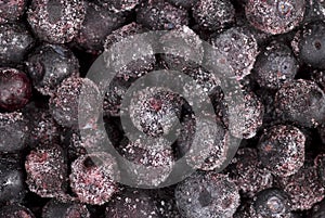 Frozen Blueberries