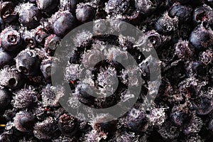 Frozen blueberries covered with ice crystals, food background