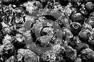 Frozen blueberries covered with ice crystals, food background