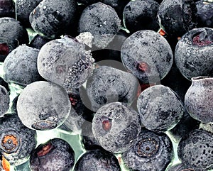 Frozen blueberry fruits, close up. macro photography of delicacies