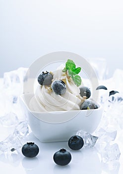 Frozen Blueberry Joghurt