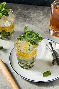 Frozen Bourbon Kentucky Mint Julep