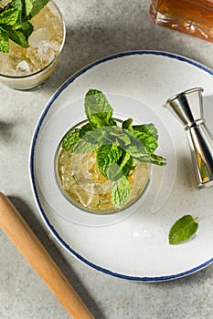 Frozen Bourbon Kentucky Mint Julep