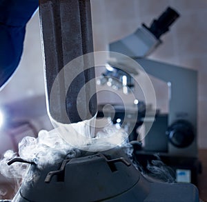 Frozen bovine semen in liquid nitrogen tank