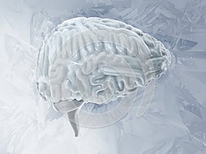 Frozen brain cryogenic concept. Cerebellum. Human brain freeze 3D illustration