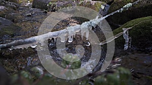 frozen branch over creek