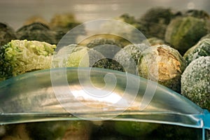 frozen broccoli florets and brussel sprouts inside freezer fridge closeup