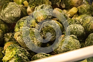 frozen broccoli florets and brussel sprouts inside freezer fridge closeup