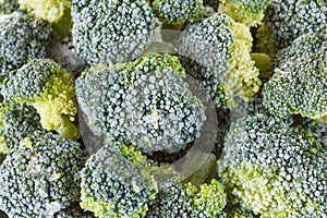 Frozen broccoli with ice crystals on white background