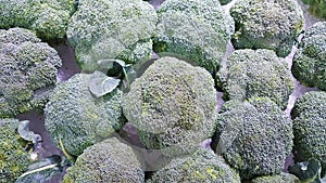 Frozen broccoli retains freshness  for sale in department stores