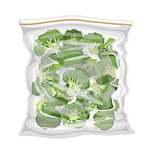 Frozen Broccoli Stored in Plastic Package Vector Illustration