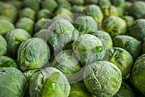 frozen brussels sprouts background closeup