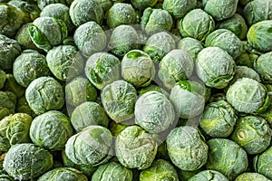 frozen brussels sprouts background closeup