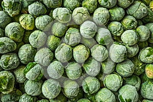 frozen brussels sprouts background closeup