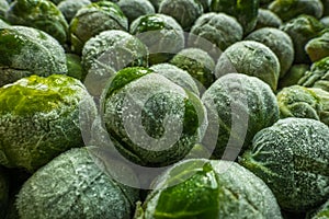 frozen brussels sprouts background closeup