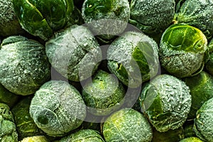 frozen brussels sprouts background closeup