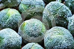 frozen brussels sprouts background closeup