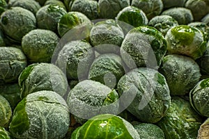 frozen brussels sprouts background closeup