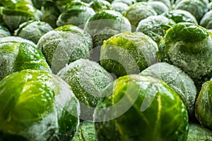 frozen brussels sprouts background closeup