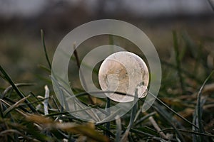 Frozen bubble on the snow during deep and cold . Slovakia