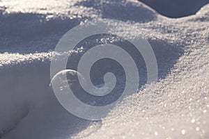 Frozen bubble on the snow during deep and cold . Slovakia