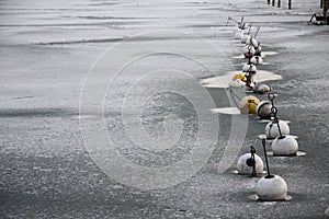 Frozen buoys