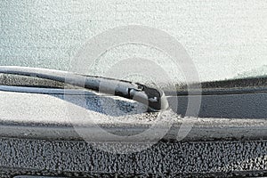 Frozen car details