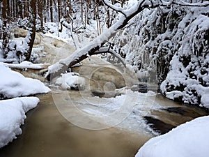 Frozen cascade, waterfall, icy twigs and icy boulders in frozen foam of rapid stream. Winter creek. Extreme freeze.